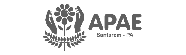 Apae Santarem - 04